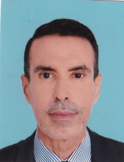 MOHAMED HOUSNY AKKARI