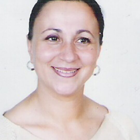 MSEFER